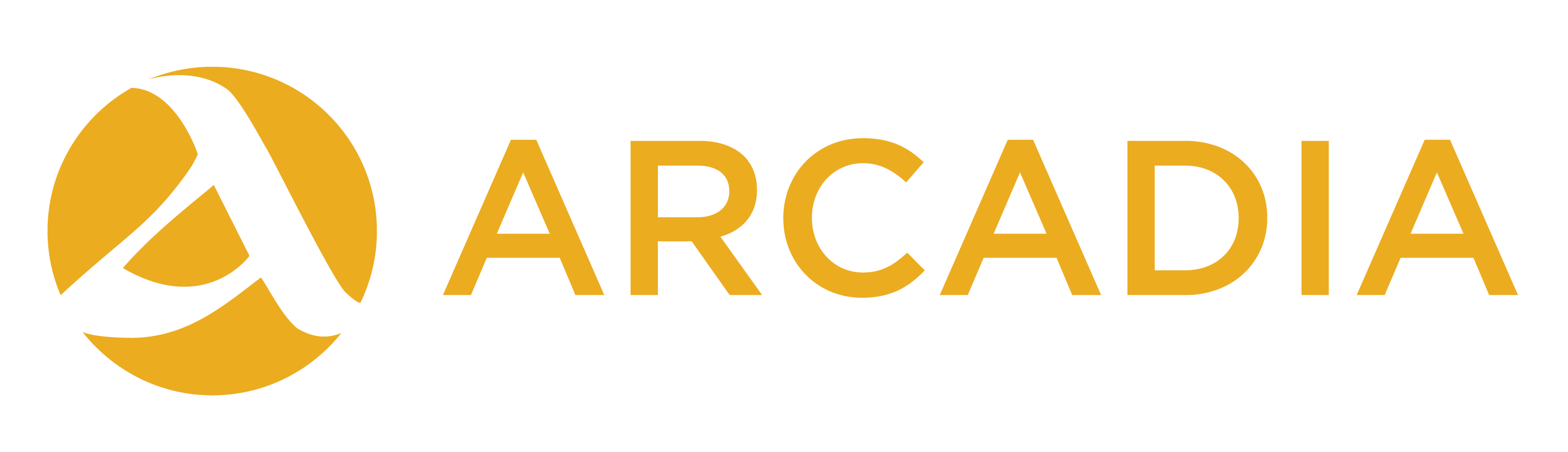 Arcadia logo with subtitle 'a charitable fund of Lisbet Rausing & Peter Baldwin